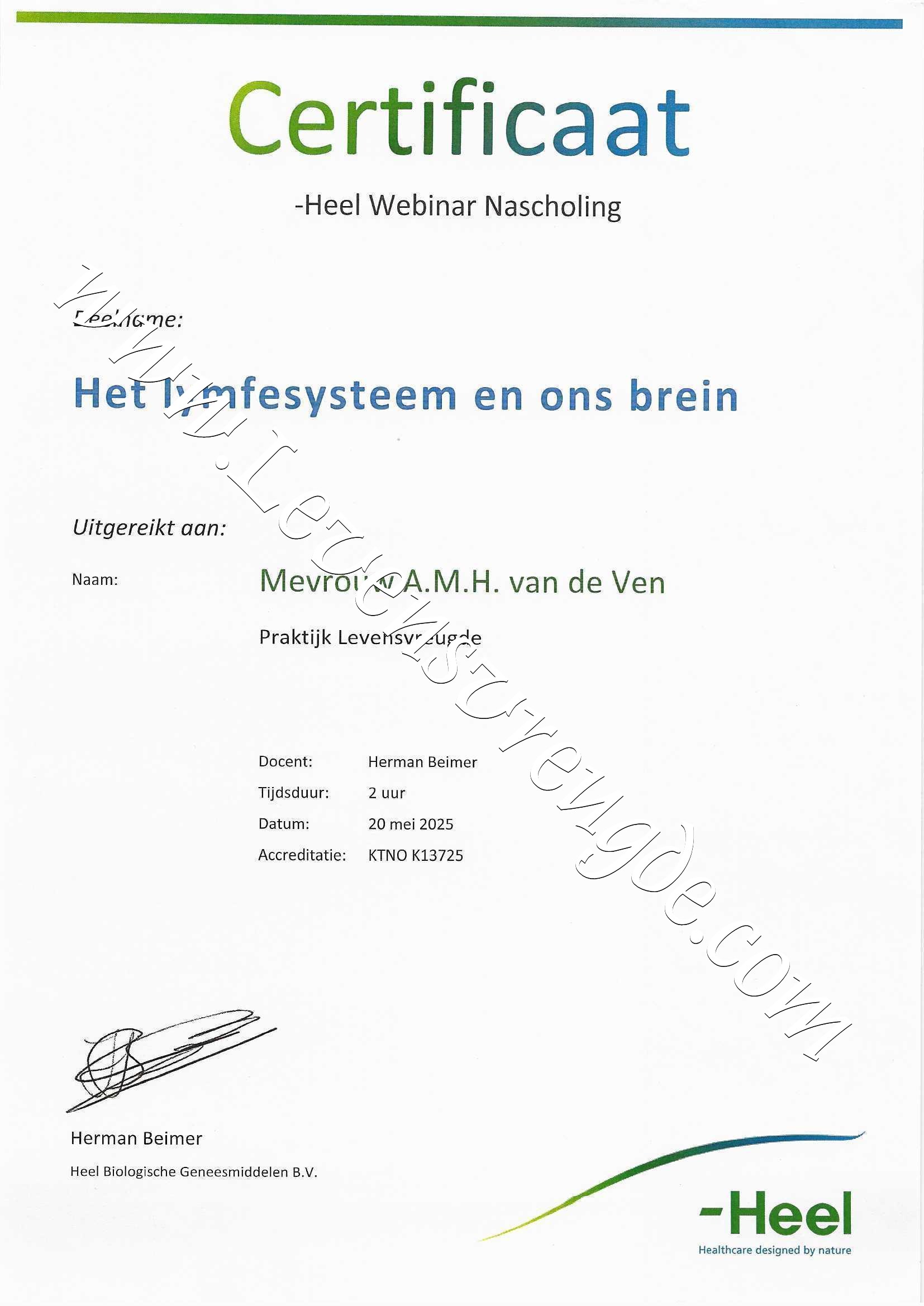 Het lymfesysteem en ons brein